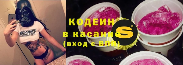 соль ск Няндома