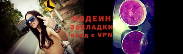 соль ск Няндома