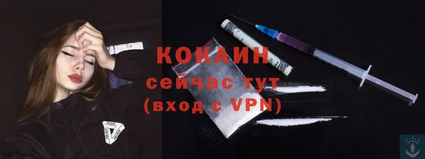 соль ск Няндома