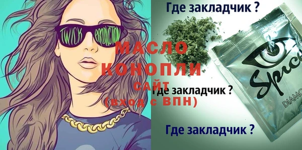 соль ск Няндома