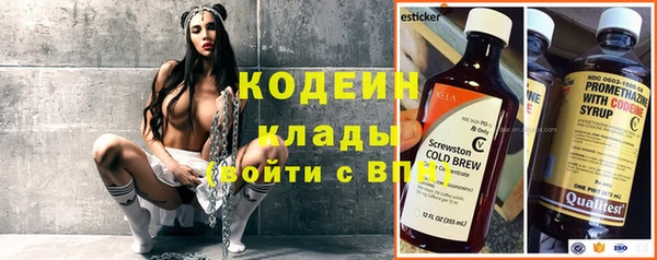 соль ск Няндома