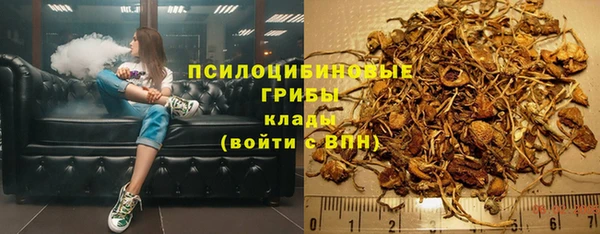 мяу мяу мука Нягань