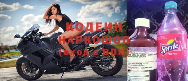 соль ск Няндома