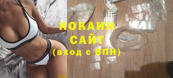 соль ск Няндома