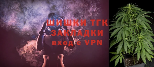 соль ск Няндома