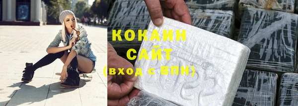 соль ск Няндома
