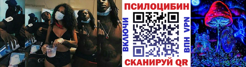 МЕГА ТОР  Шилка  Псилоцибиновые грибы GOLDEN TEACHER 